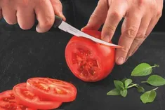 Faca Para Tomate Aço Inox 5 Polegadas Preta Plenus