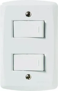 Conjunto 2 Interruptores Simples 10a 250v 4x2 - Lux