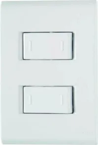 Conjunto 2 Interruptores Paralelos 10a 250v 4x2 - Liz