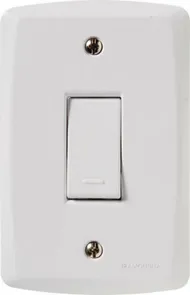 Conjunto 1 Interruptor Simples 10a 250v 4x2 - Lux